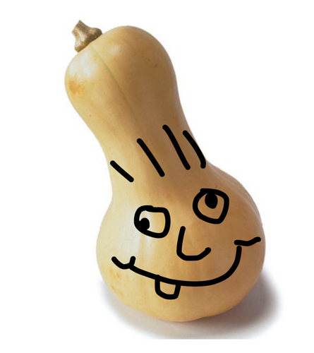 Silly Squash